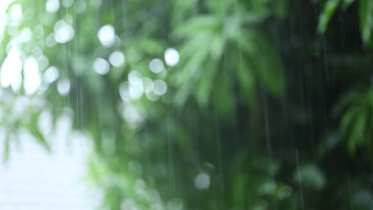 泰国的雨季，在这个视频中有声音。视频下载