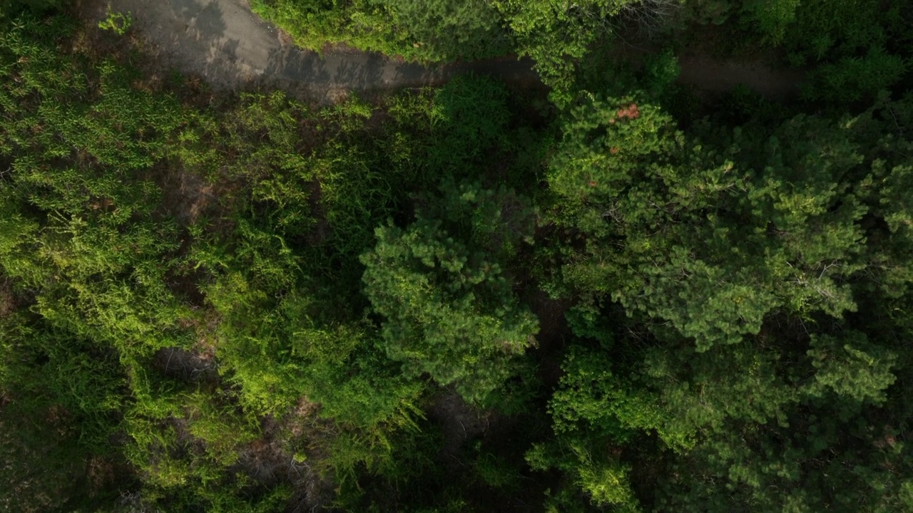 无人机拍摄的波士顿附近的巴利斯山视频素材