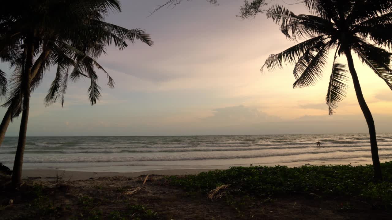 美丽的日落，海滩和椰子树视频素材