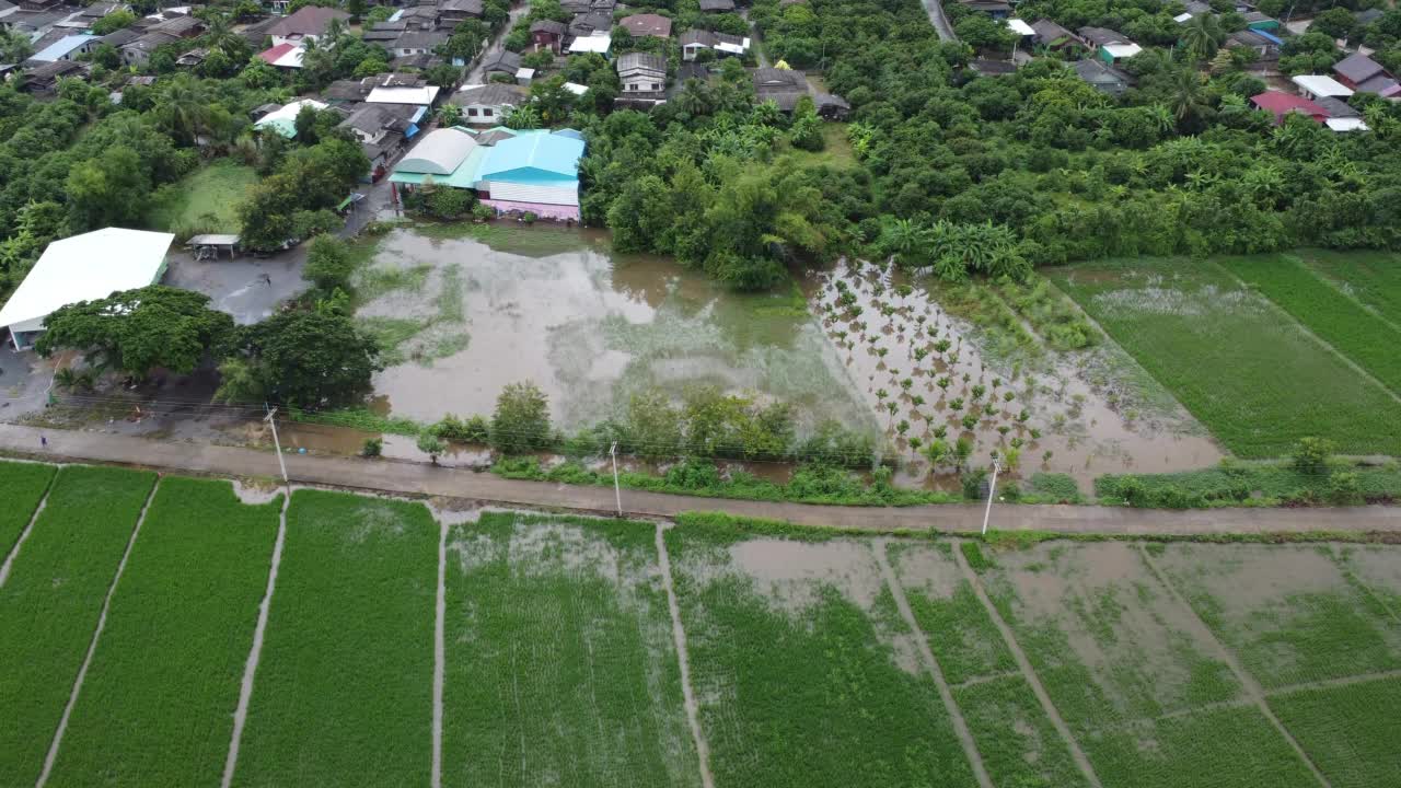 受雨季洪水影响的稻田或农业地区的鸟瞰图。滂沱大雨和洪水淹没农田后泛滥的河流俯视图。视频素材