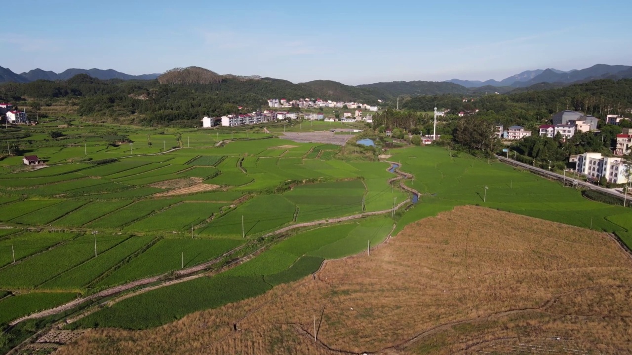 乡村绿地和房屋的鸟瞰图视频素材