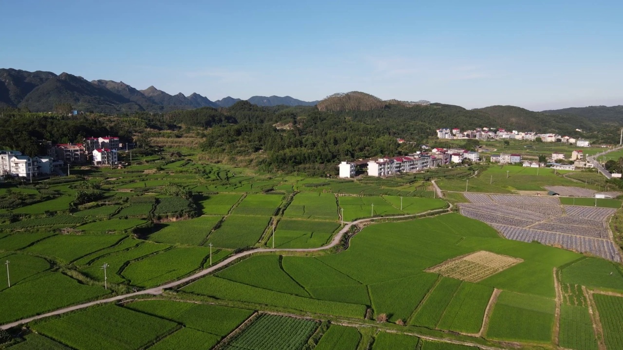 乡村绿地和房屋的鸟瞰图视频素材