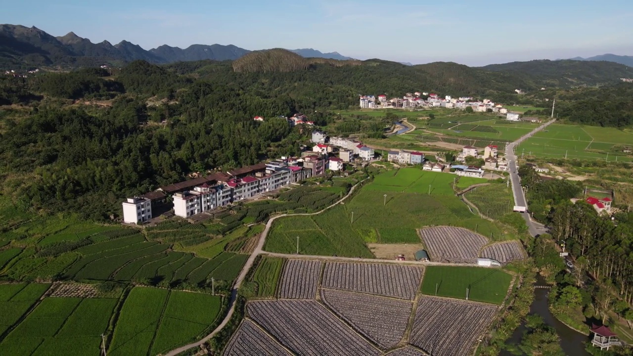 乡村绿地和房屋的鸟瞰图视频素材