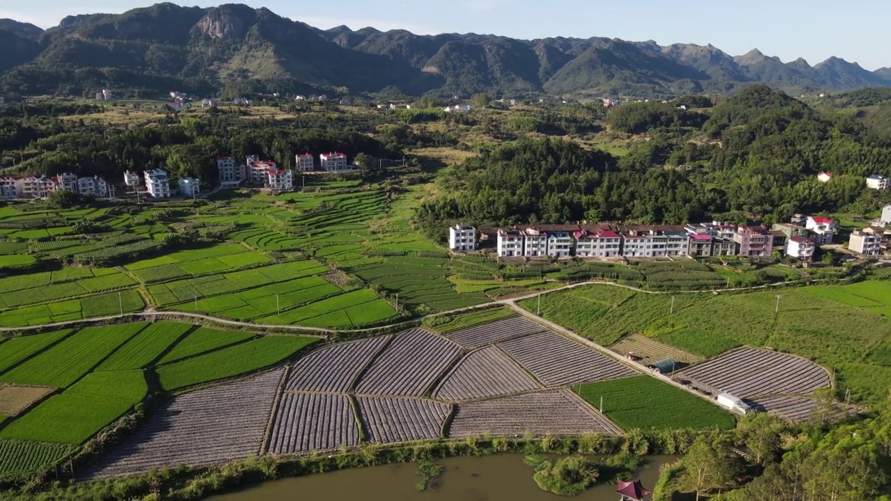 乡村绿地和房屋的鸟瞰图视频素材