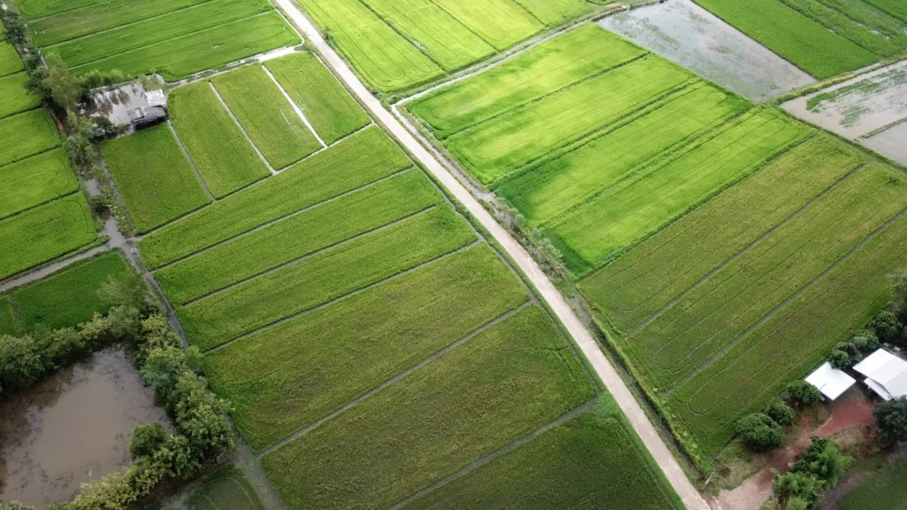 鸟瞰穿越泰国清莱省农村地区稻田的乡村道路。视频素材