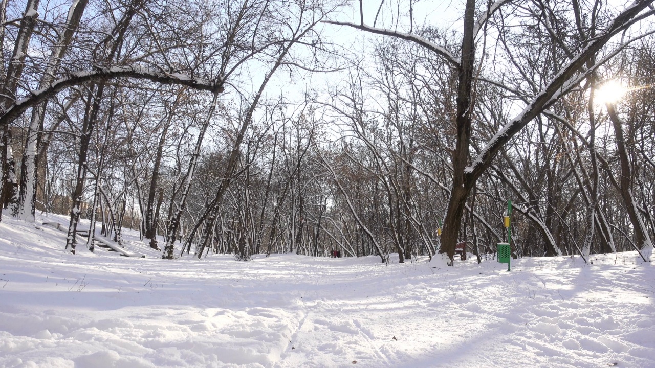 公园里的雪和小路的4K视图视频素材