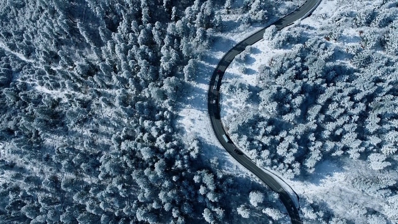 冬天的森林，厚厚的森林被雪覆盖视频素材