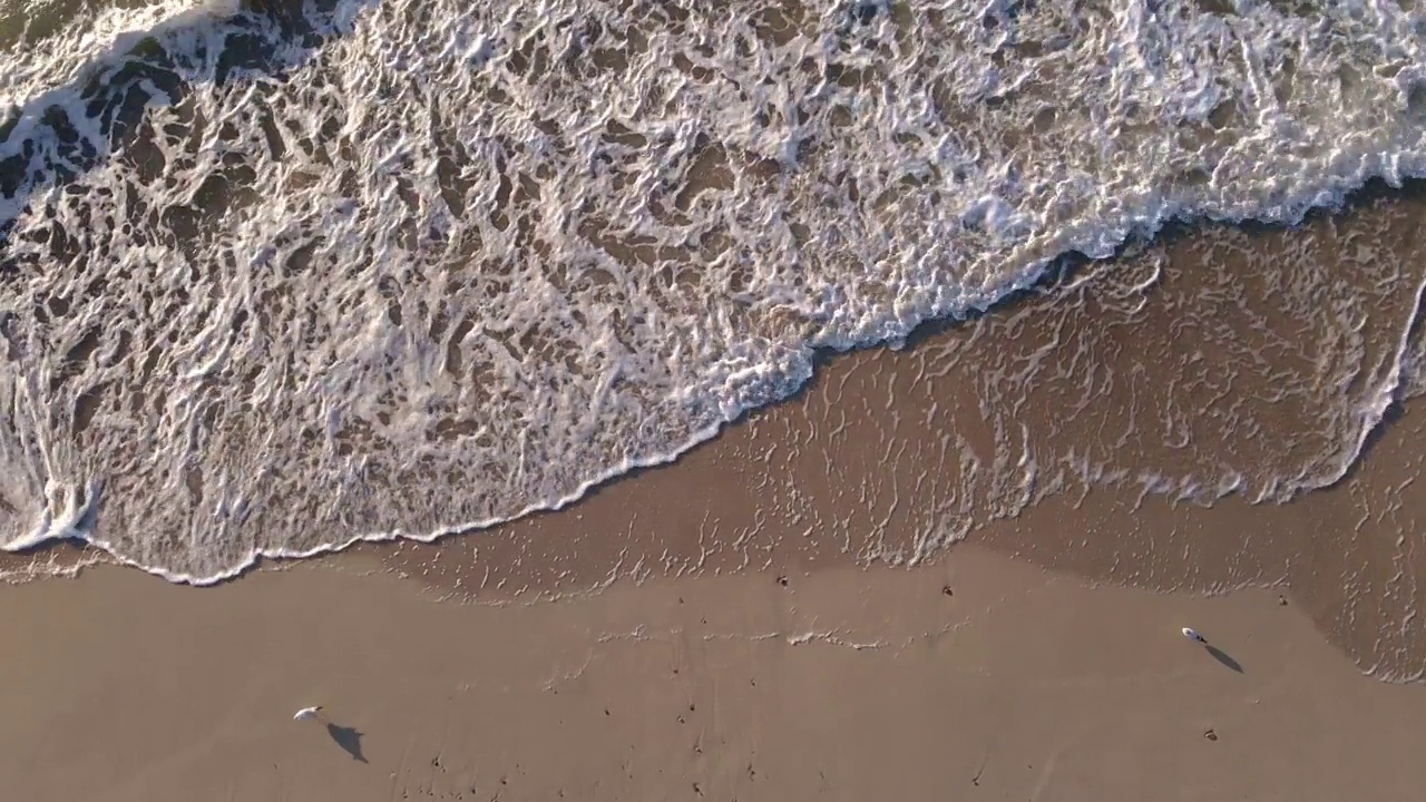 波罗的海沿岸有海浪和沙滩视频素材