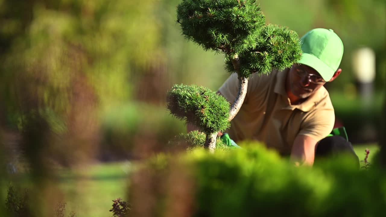 园丁与花园剪剪枝视频素材