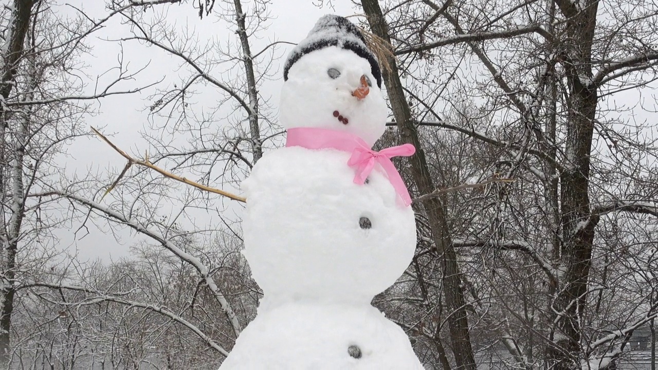 冬天城市公园里的雪人。视频素材