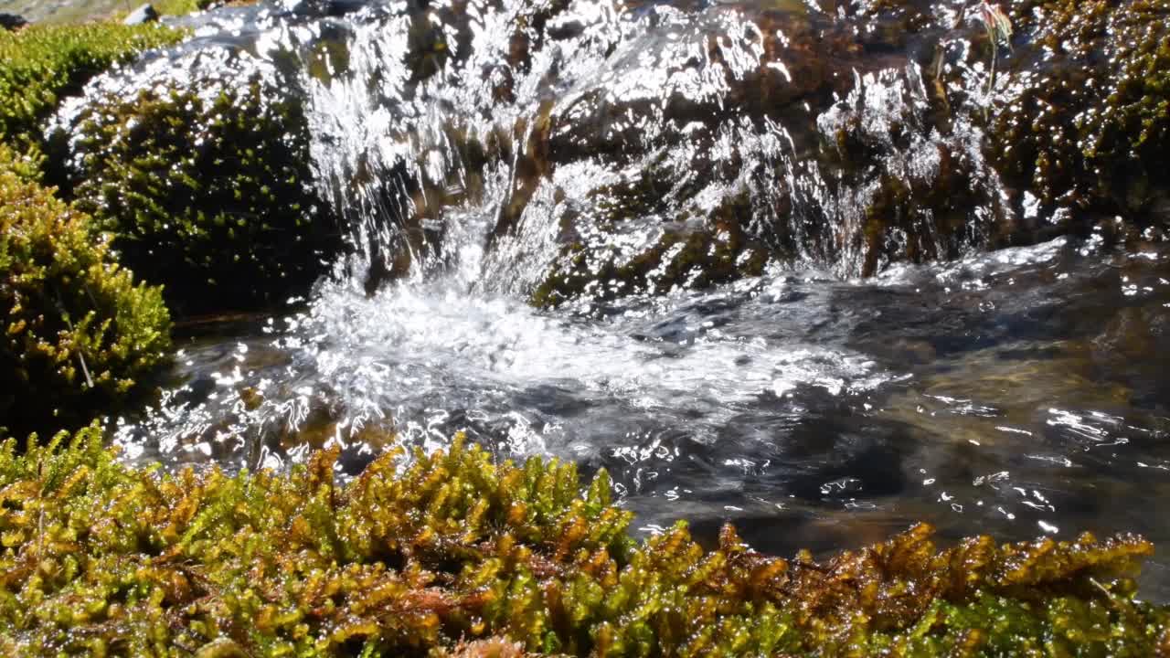 山洪流,小溪,视频素材