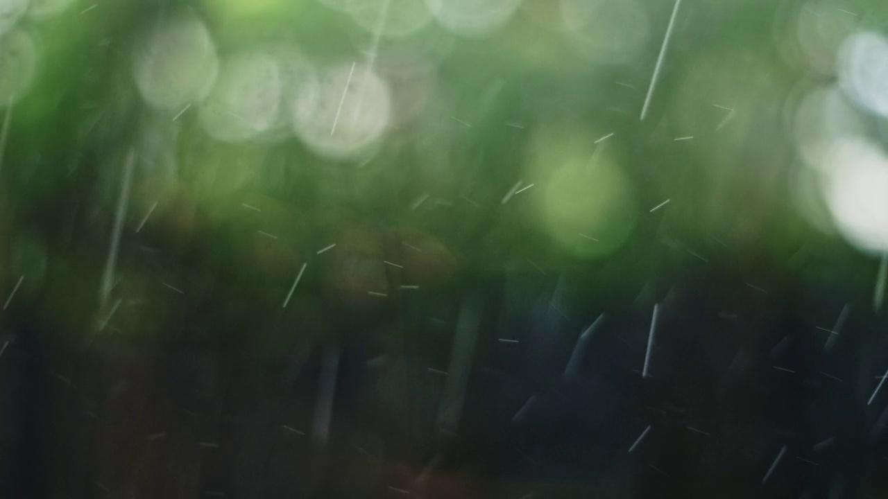 自然背景下大雨视频素材