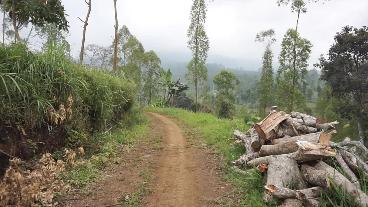 在种植园山上的自然之旅视频素材