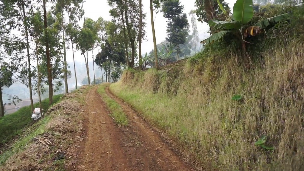 在种植园山上的自然之旅视频素材