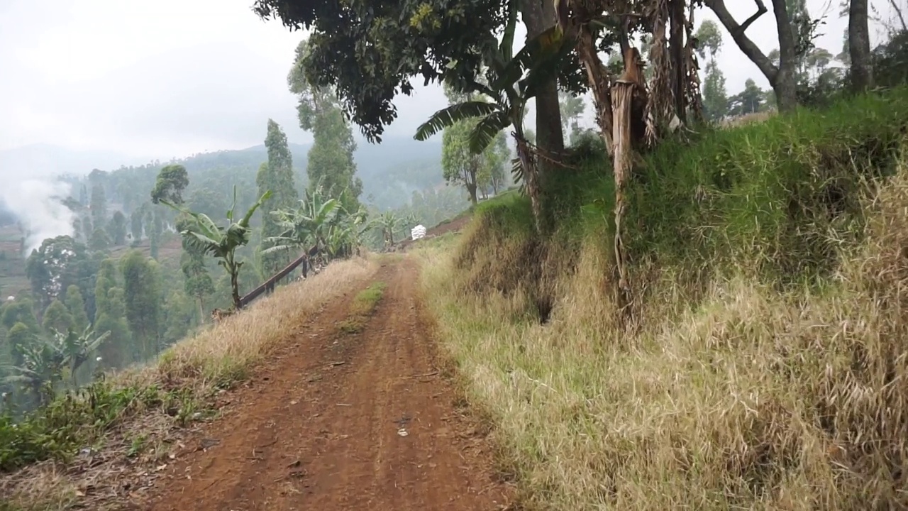 在种植园山上的自然之旅视频素材