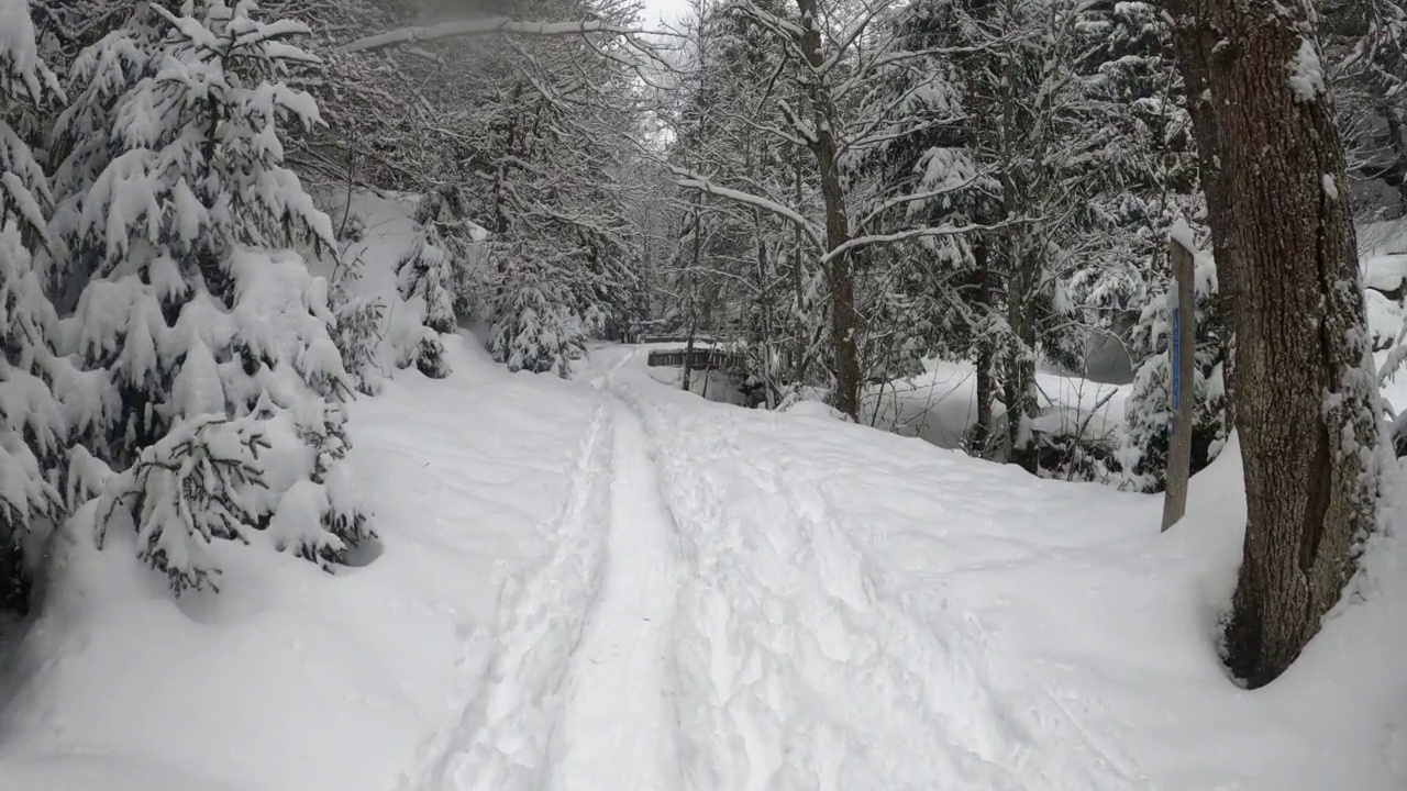 雪中漫步视频素材