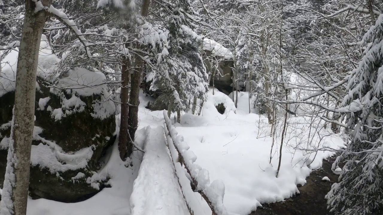 雪中漫步视频素材