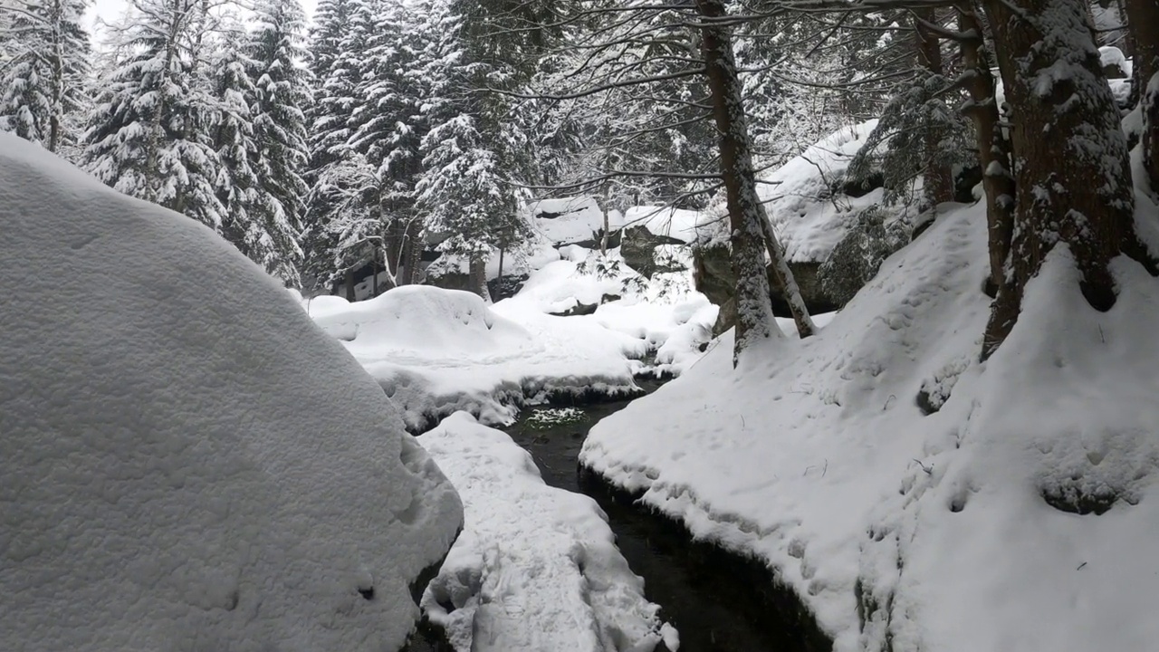 在雪中行走的冬天视频素材