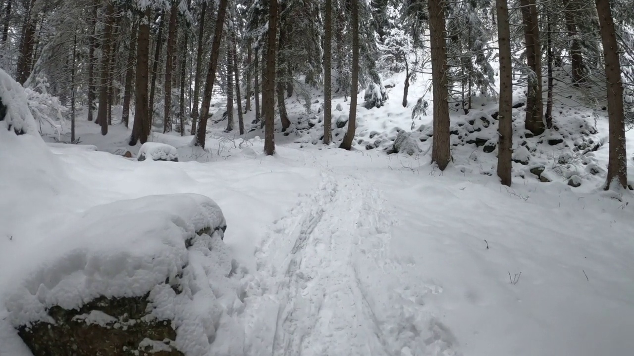 雪中漫步视频素材