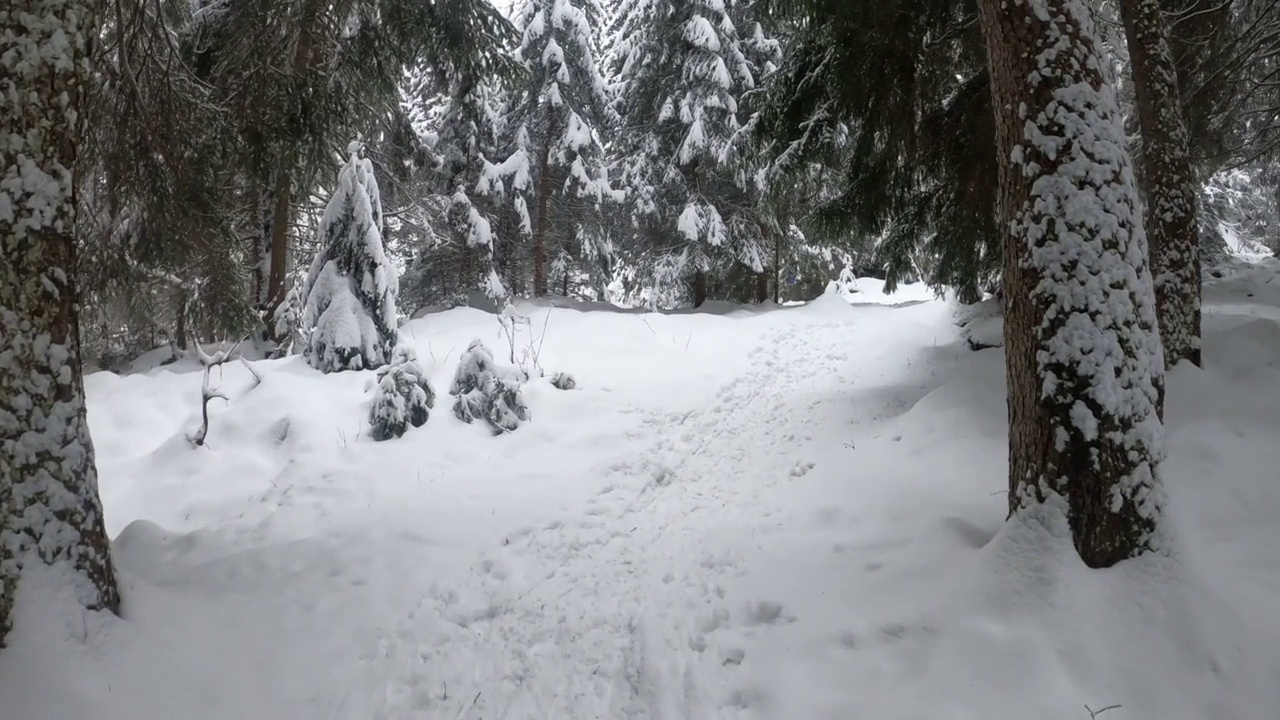 冬天走在雪地里视频素材