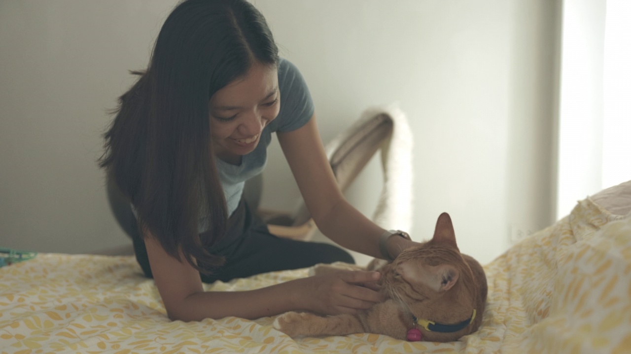 亚洲妇女在家里的床上玩和拥抱虎斑猫。视频素材