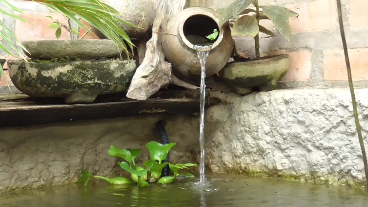 水景自然印象视频素材