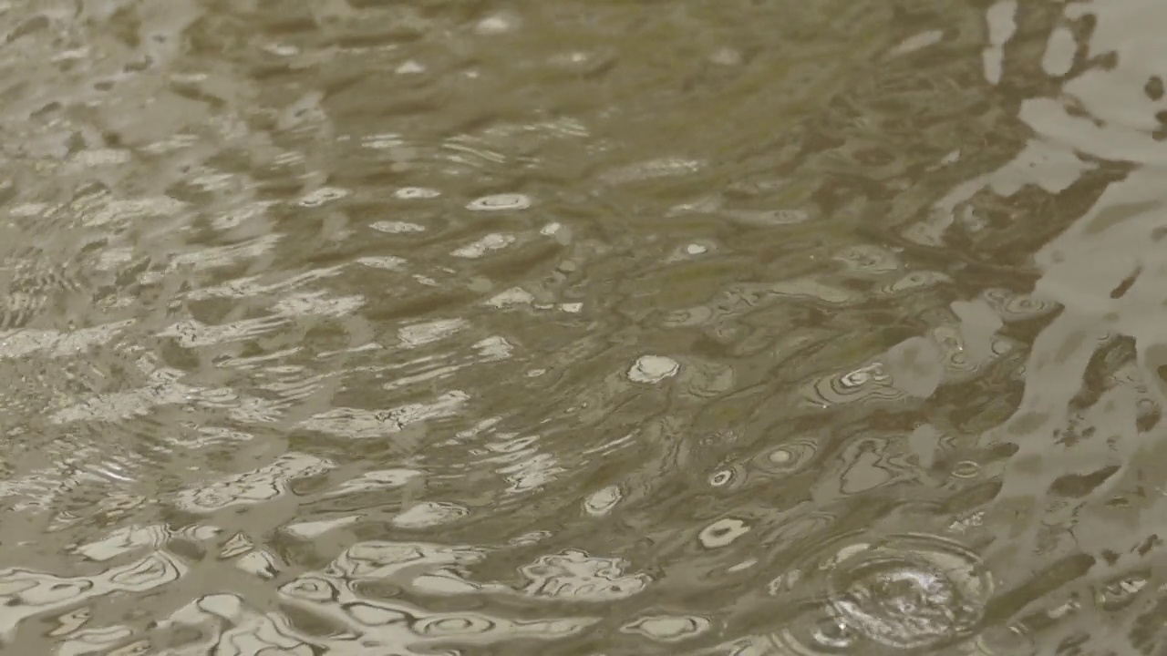 水滴落在雨坑里视频素材