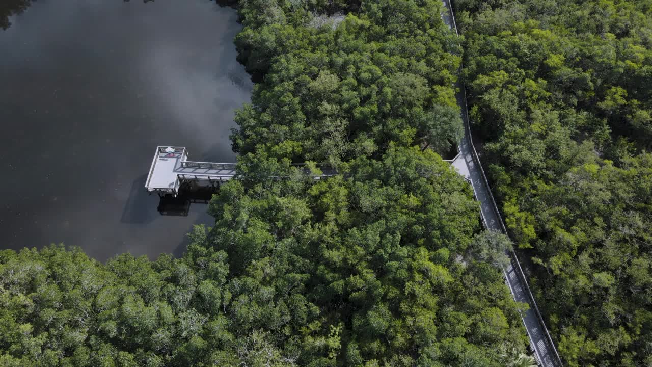 佛罗里达州坦帕湾海岸的鸟瞰图视频素材