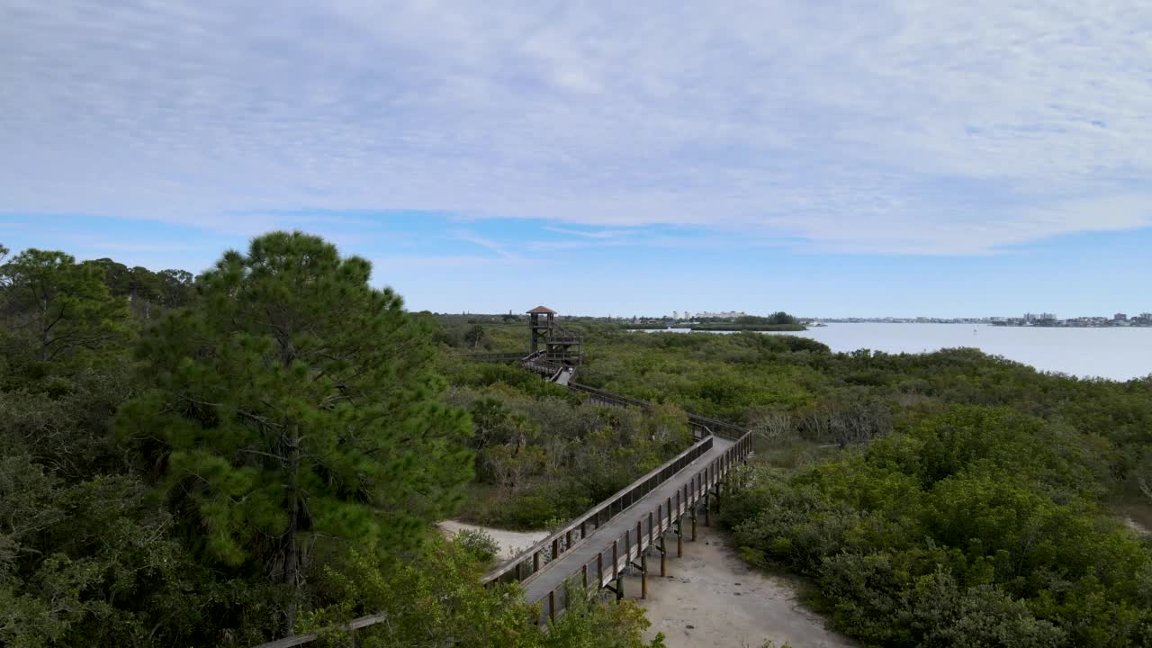 佛罗里达州坦帕湾海岸附近公园的木制走道的鸟瞰图视频素材