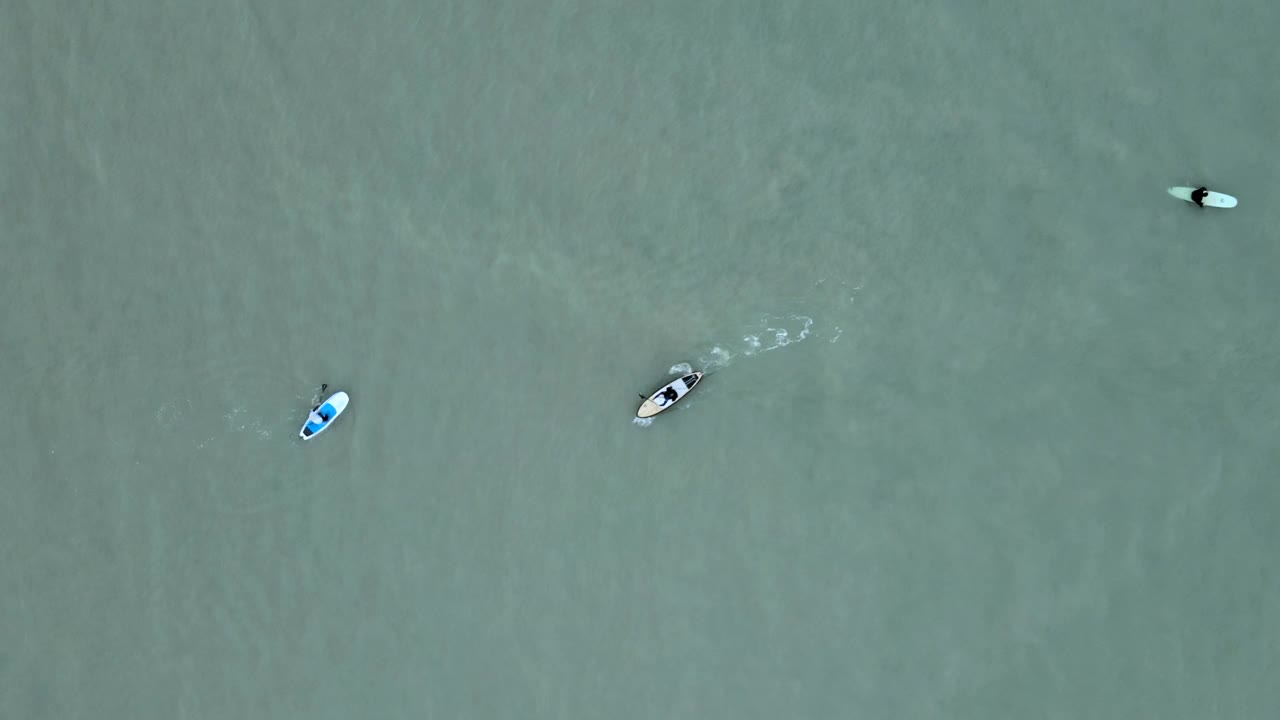 从空中俯瞰漂浮在佛罗里达州坦帕湾水面上的独木舟视频素材