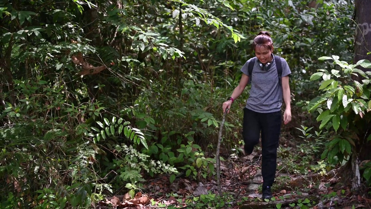 美丽的亚洲女性徒步旅行者背着背包在森林中行走视频素材