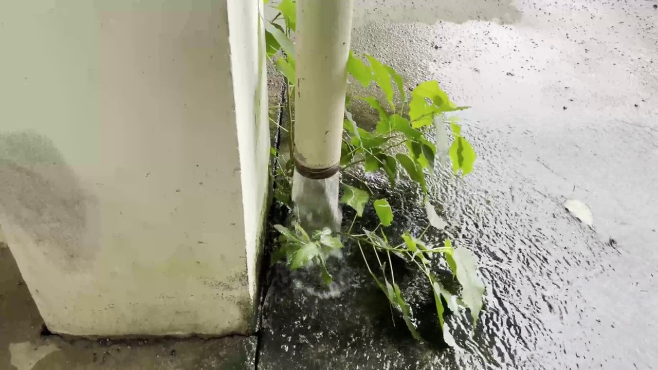 水从建筑物的下水道流下来。视频下载