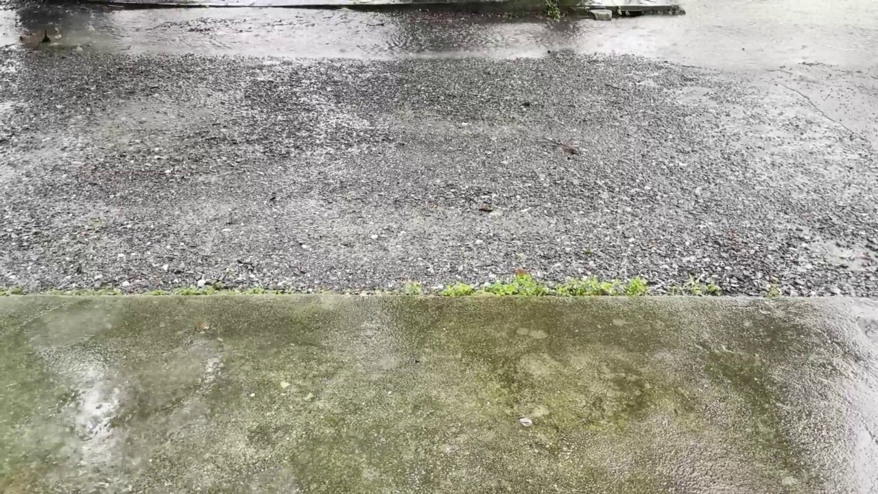 暴风雨中雨下得很大。视频下载