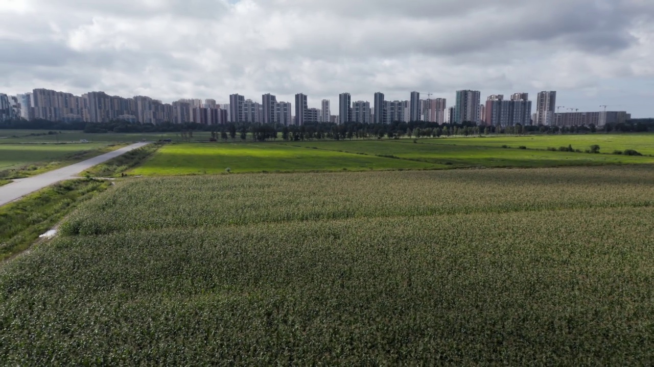 田野和远处城市全景鸟瞰图视频素材