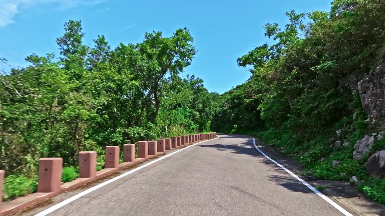 开车穿过森林和道路视频素材