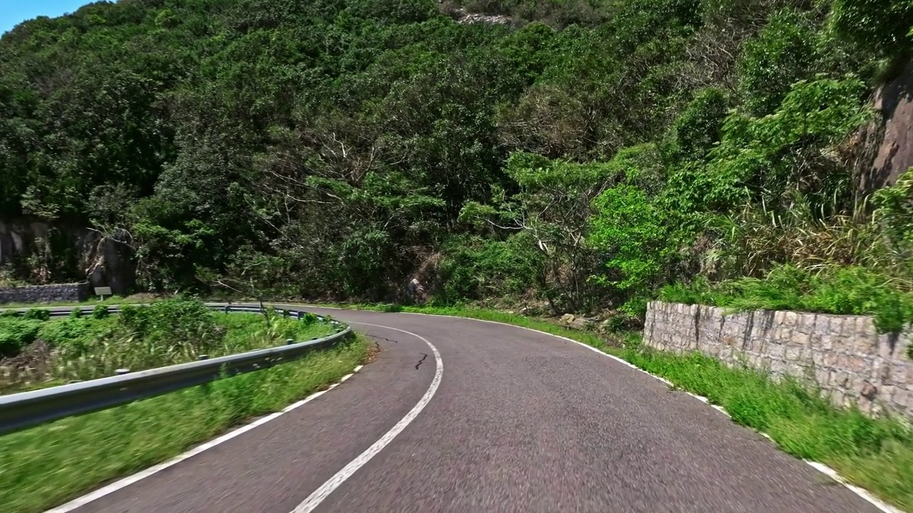 开车穿过森林和道路视频素材