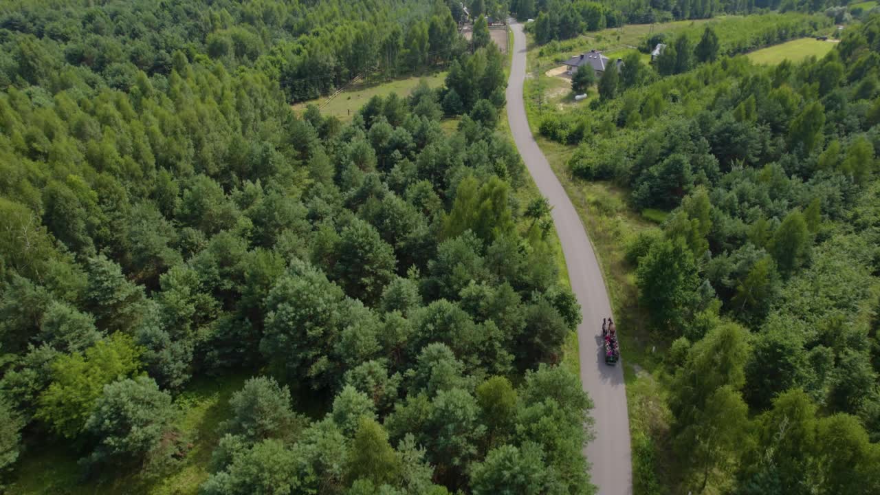 马车在路上的某个地方视频下载