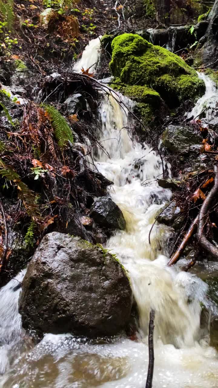 森林里暴风雨后的瀑布视频下载