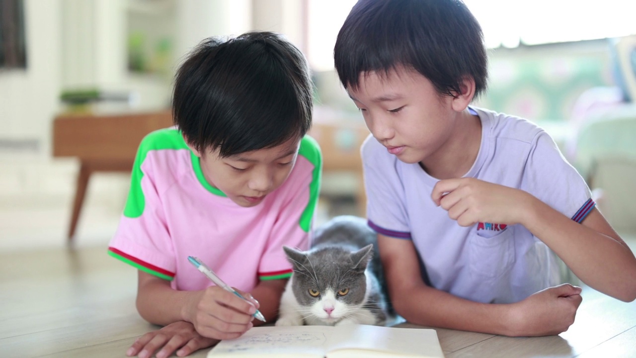 小男孩正在读书视频素材