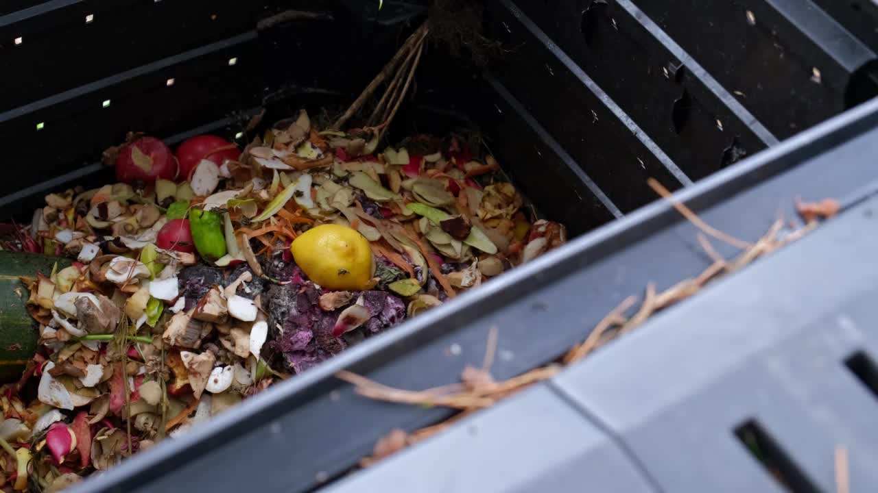 收集在堆肥箱中的蔬菜和食物残渣中的家庭有机废物转化为土壤的天然肥料视频素材