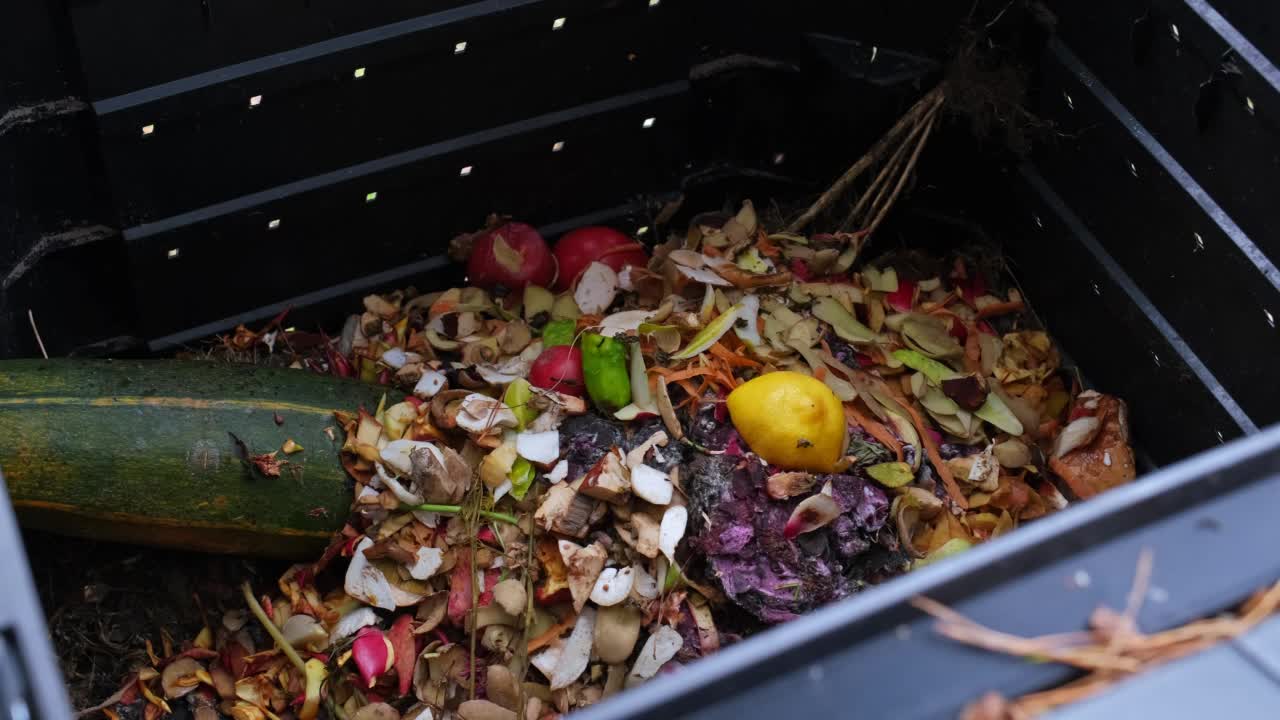 收集在堆肥箱中的蔬菜和食物残渣中的家庭有机废物转化为土壤的天然肥料视频素材