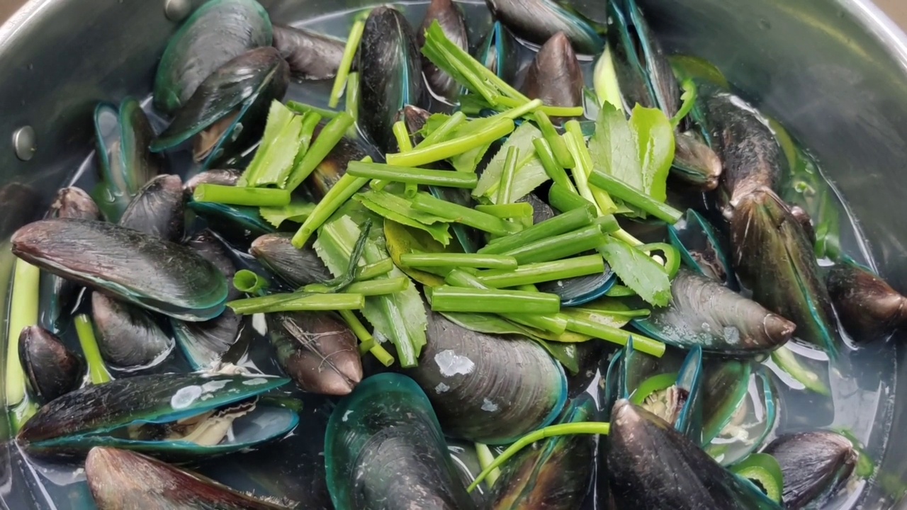 香菜蒸贻贝视频素材