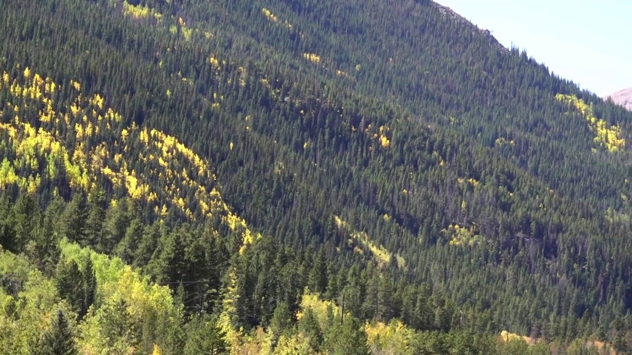 13240英尺高的斯尼克山位于科罗拉多州落基山脉，有着初秋的黄色白杨。视频素材