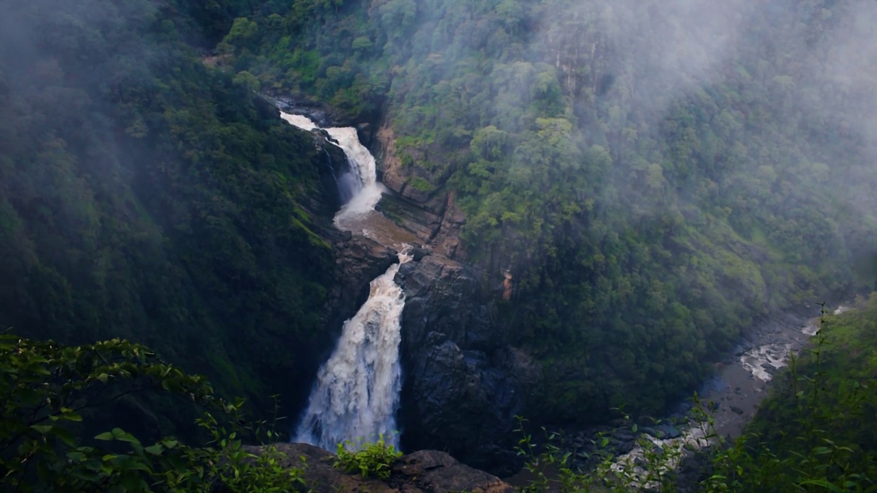 美丽的Magod瀑布的区域拍摄，在西部高止山脉雨林，卡纳塔克邦，印度视频素材