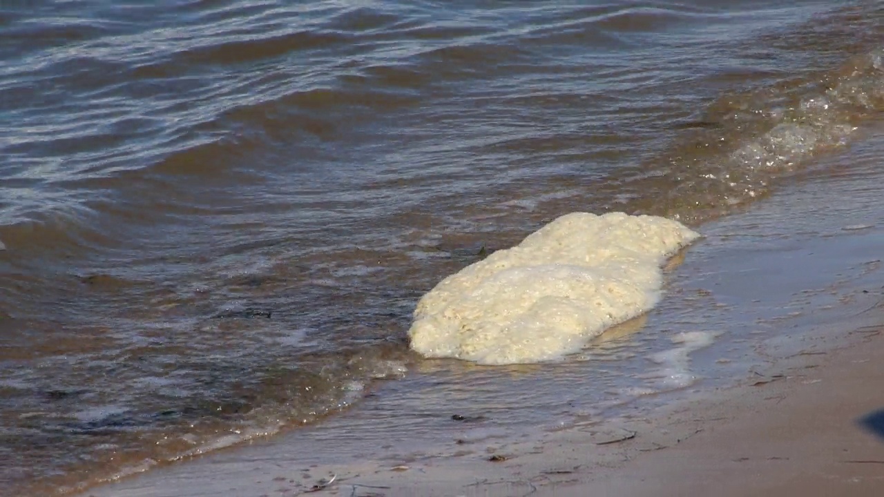 海滩上的泡沫，水污染的概念视频素材