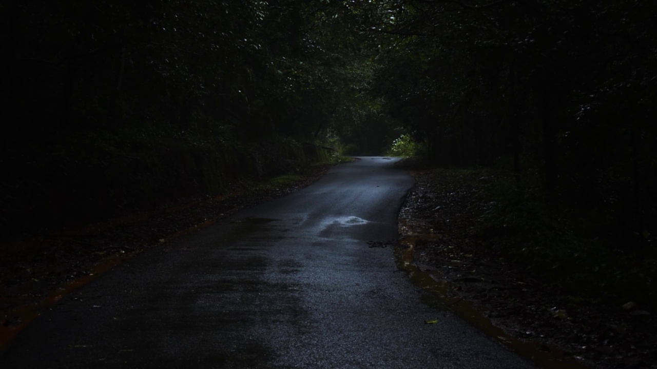 雨季期间，美丽的印度公路经过黑暗森林的镜头。视频素材