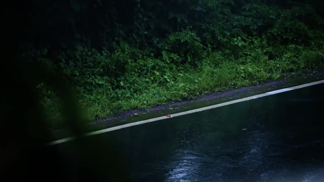 大雨中，车辆在城市高速公路潮湿的沥青路面上行驶。视频素材