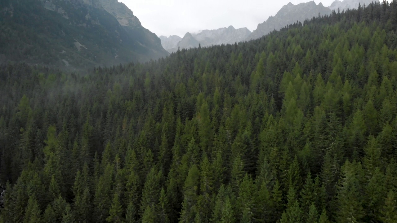 航拍揭示的Chugach森林山谷，安克雷奇，阿拉斯加视频素材