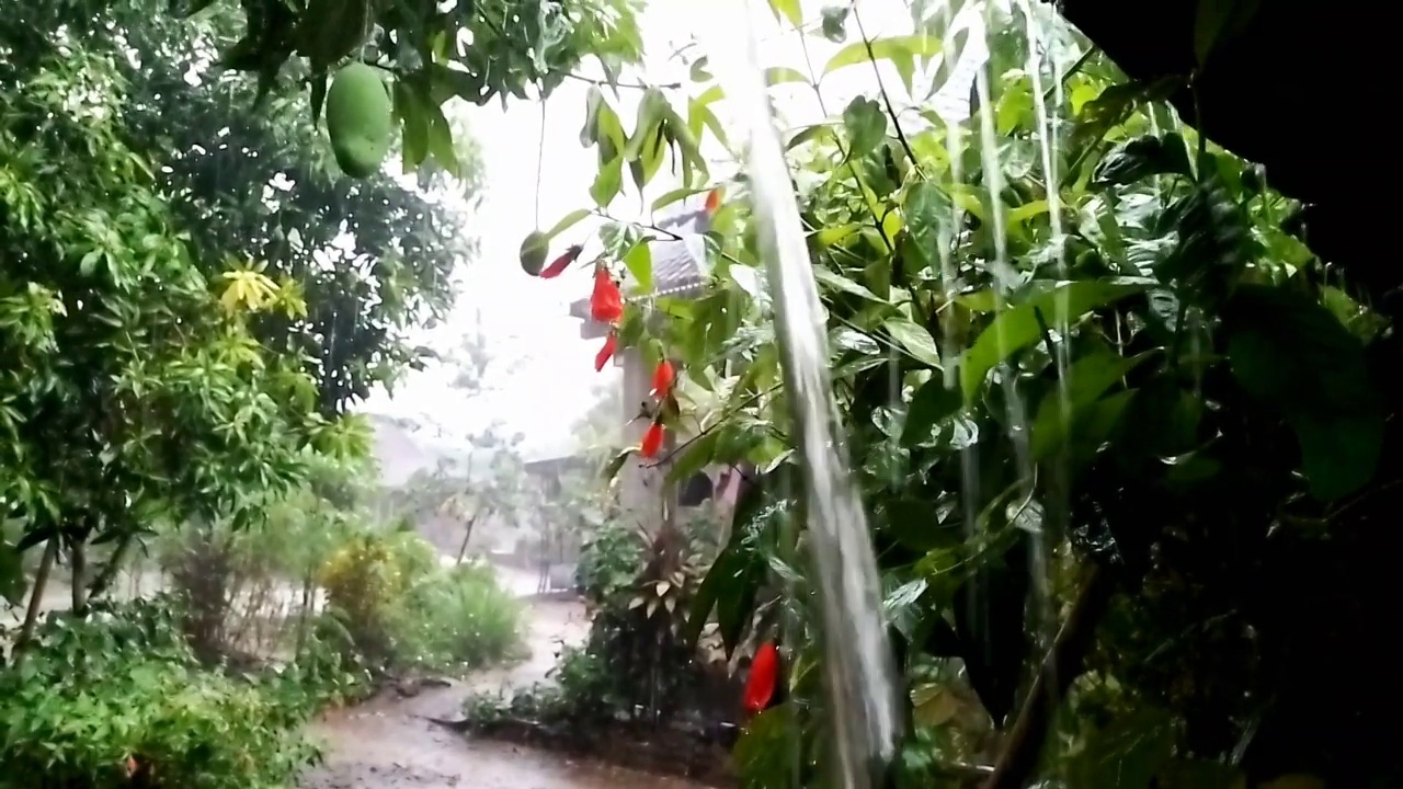 雨视频素材