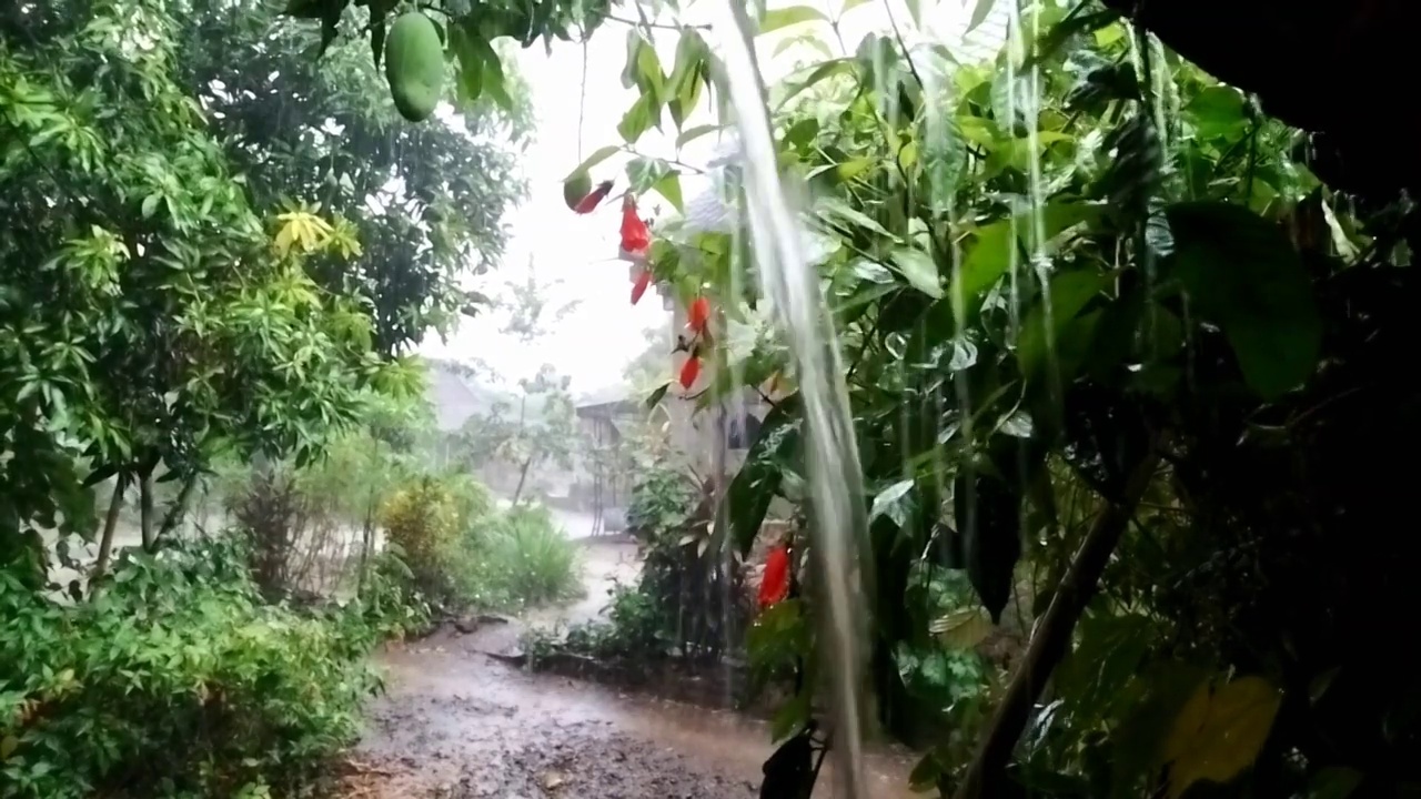 大雨视频素材